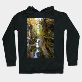 Watkins Glen Gorge, New York Hoodie